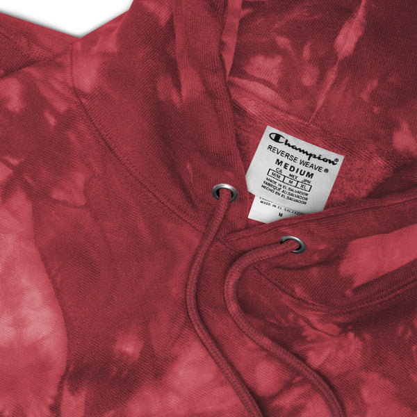 Alumni  Embroidered Unisex Champion tie-dye hoodie